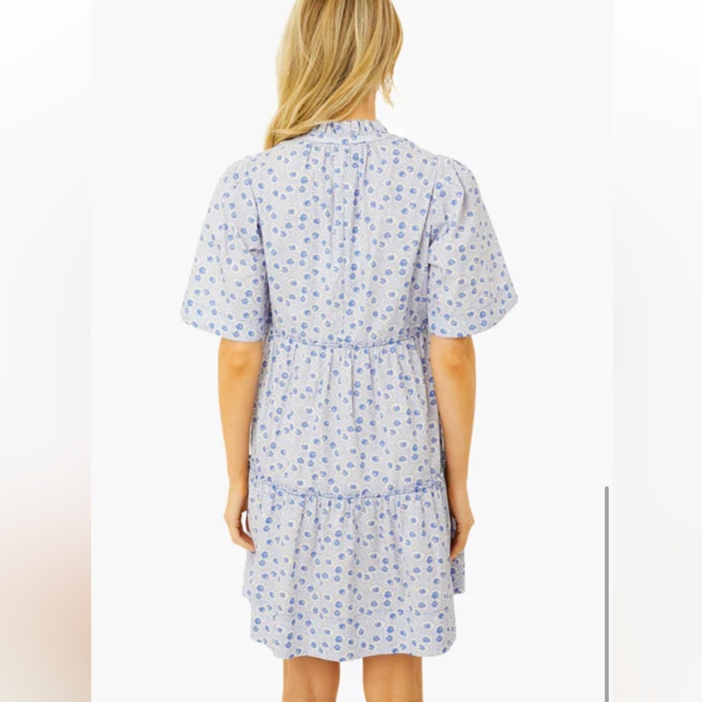 Tuckernuck Lily of the Nile Crawford Dress - Picture 3 of 7